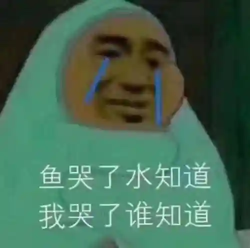 斗图表情包(小黑子专用表情包)插图14