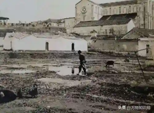 鬼图片大全100张(吓我一跳图片)插图11