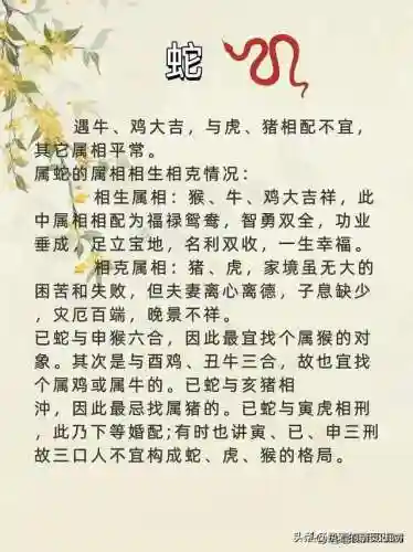 最佳好友阵容搭配图表高清(最佳阵容下载)插图7