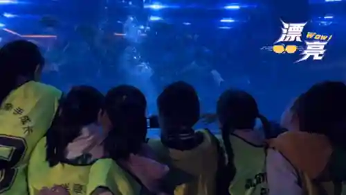 海洋物语搭配阵容图鉴攻略(海洋王国最强阵容搭配)