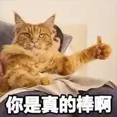 网上特别火的那个猫表情包(猫咪摇头表情包动图)插图20 网上特别火的那个猫表情包(猫咪摇头表情包动图)插图20