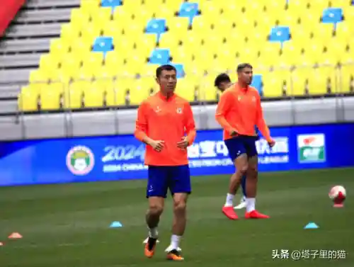 塔子用什么阵容搭配(守塔不能停阵容搭配)插图3