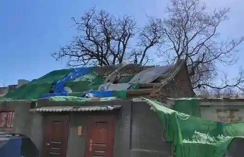 食物语胡同访古阵容搭配(食物语平民推图最强阵容)插图16