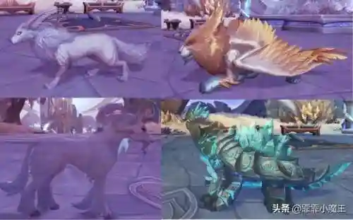 魔兽世界宠物推荐(wow70猎人必抓五只宠物)插图10