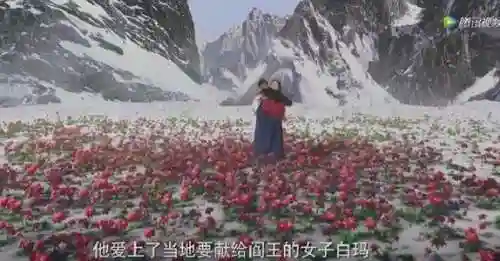 张启山为什么囚禁张起灵20年(张起灵被囚禁在格尔木多少年)插图4