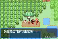 究极绿宝石 阵容搭配(究极绿宝石5最强无解阵容)插图30