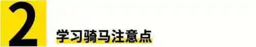 女神之路骑马怎么搭配阵容(强者之路排名第一阵容)插图4