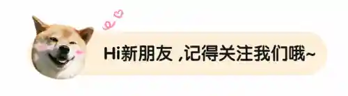罗刹神刷图阵容搭配(斗战神罗刹刷图玩什么好)插图7