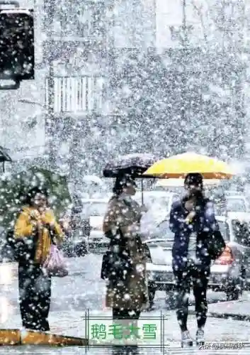 天斗大雪阵容搭配攻略(海边小斗大雪好看视频)插图3