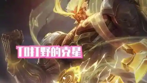 打野冷门盘古阵容搭配图(王者荣耀最冷门的打野英雄)