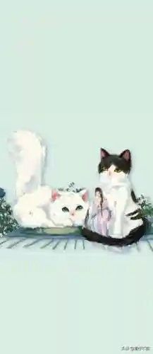 壁纸高清全屏大全(壁纸推荐排行榜)插图42