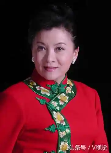 守卫者浮出水面电视剧(电视剧守卫者在线观看免费版高清)插图2