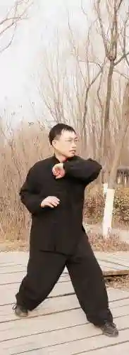 神龙老熊阵容搭配图(飞熊富贵骑最强阵容搭配)插图9 神龙老熊阵容搭配图(飞熊富贵骑最强阵容搭配)插图9