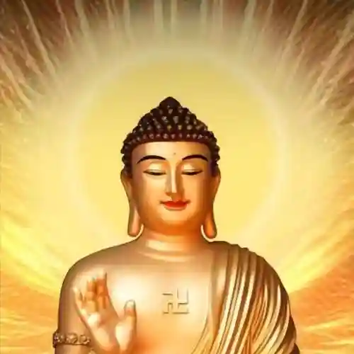 道士下山阵容搭配推荐图(道友请留步最强阵容)插图1