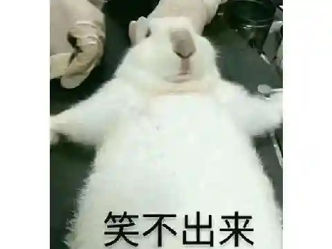 琳琅天下手游阵容搭配图(全民大主公2阵容搭配)插图29
