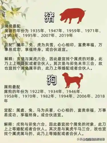 时空猎人3雷兔阵容搭配(时空猎人3最强角色)插图5 时空猎人3雷兔阵容搭配(时空猎人3最强角色)插图5
