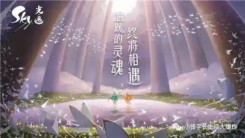 光遇火之灵在哪里(光遇怎么使用编码加好友)
