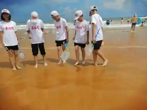 洛克王国红顶剑龙怎么进化(洛克王国龙系宠物在哪里超进化)插图27
