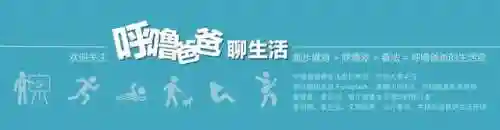 卢修斯马尔福扮演者(演德拉科马尔福的演员叫什么)插图9