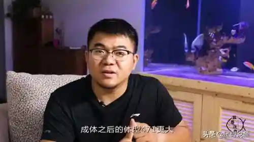 异形皇后搭配什么阵容最好(异次元公主最强阵容)插图12