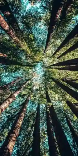 好看的高清图片(免费大自然风景图片)插图23