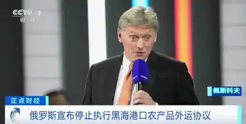 俄罗斯决定停止(北约：不能允许俄罗斯战胜乌)插图2
