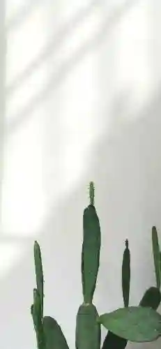 高清屏保图片(4k超高清壁纸图片手机)插图4 高清屏保图片(4k超高清壁纸图片手机)插图4