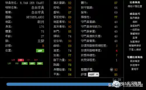 实况法甲后腰阵容搭配推荐(实况足球2020最强后腰)插图8