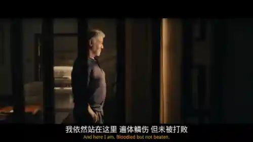 塔尔萨之王阵容怎么搭配(6兽人4巨魔4萨满阵容)插图29