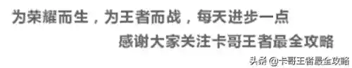 王者印记有什么用(四个王者印记换皮肤是什么)插图7