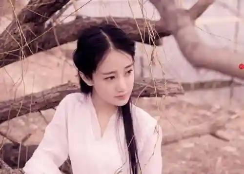 幻书启示狐狸阵容搭配(山海经幻想录阵容搭配)