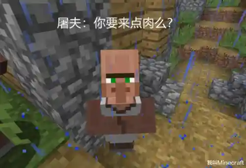 我的世界超大巨型村庄(巨型村庄种子)插图3