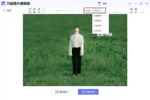 图片去水印(免费一键去水印的app)插图8