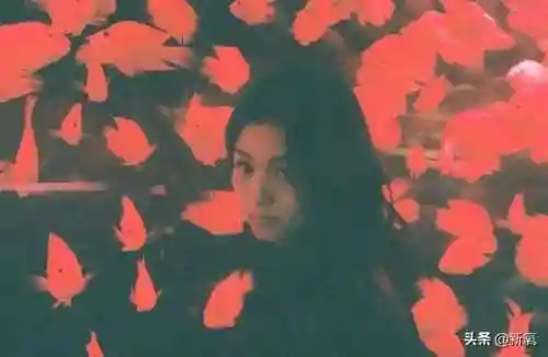盛世芳华木系最强阵容搭配(盛世芳华火系最强阵容)插图36