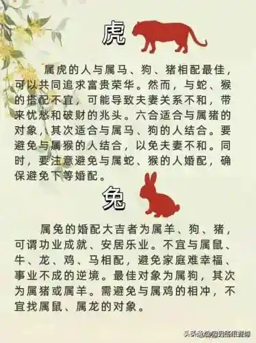 地宫问道阵容搭配图片最新(问道手游力水地宫最强阵容)插图3