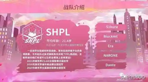 挑战国际战队阵容搭配(战歌竞技场最强阵容)插图5