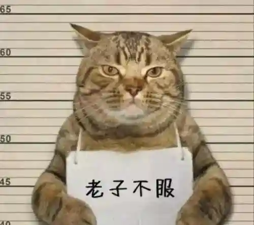 猜图片带答案大全(看图猜成语扫一扫图)插图92