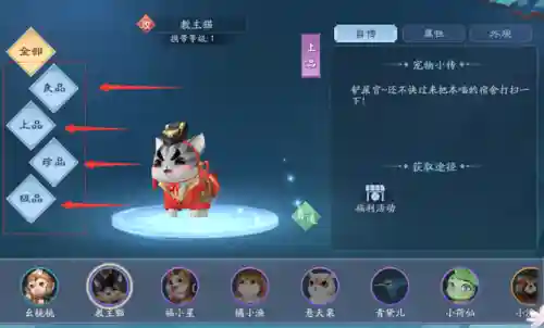 新笑傲江湖宠物阵容搭配(笑傲江湖ol萌娃培养攻略)