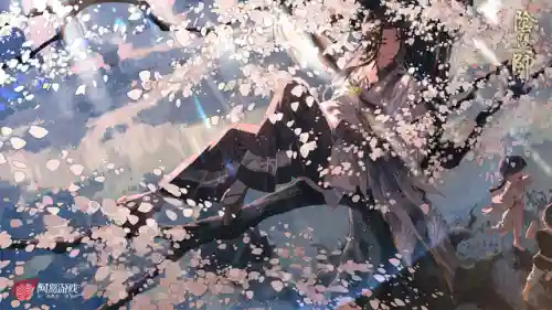 阴阳师姑获鸟值得练吗(sp姑获鸟技能介绍)