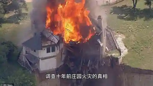 庄园之声密室推荐阵容搭配(密林纷争最强阵容搭配)