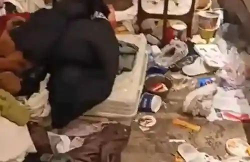 神翼天堂怎么搭配阵容(天命之子阵容搭配推荐)插图4