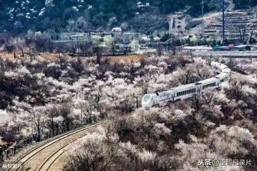 d开头代表什么(D开头的英语)插图10 d开头代表什么(D开头的英语)插图10