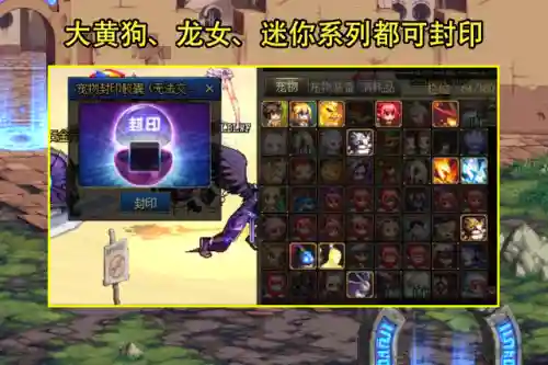 dnf宠物封印胶囊(dnf二觉装扮ABCD行)插图1