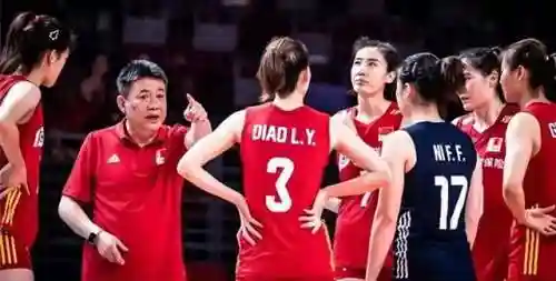 美国女排搭配阵容图表最新(中国女排最强阵容名单)插图7
