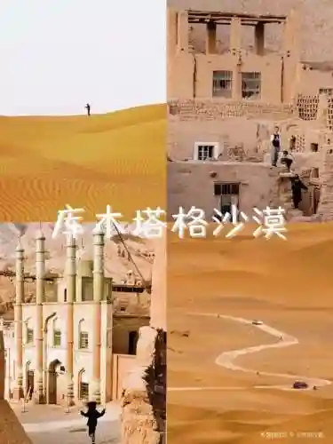 嘴炮超强搭配什么阵容(炮弹人冲冲冲最强阵容)插图13