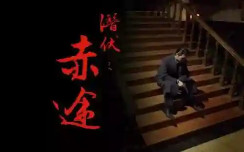 当皇帝纯开后宫的游戏(可以自由封妃的皇帝游戏)插图14