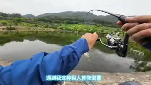 精英三代搭配阵容(最佳阵容37是哪个版本)插图1