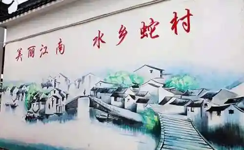 中国第一蛇王(中国最漂亮的毒蛇)插图1