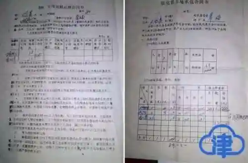 金铲车龙系列阵容搭配(聚峰龙20铲车怎么样)插图9