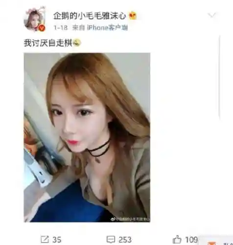 王者自走棋寡妇阵容搭配(自走棋dota2最新阵容)插图4